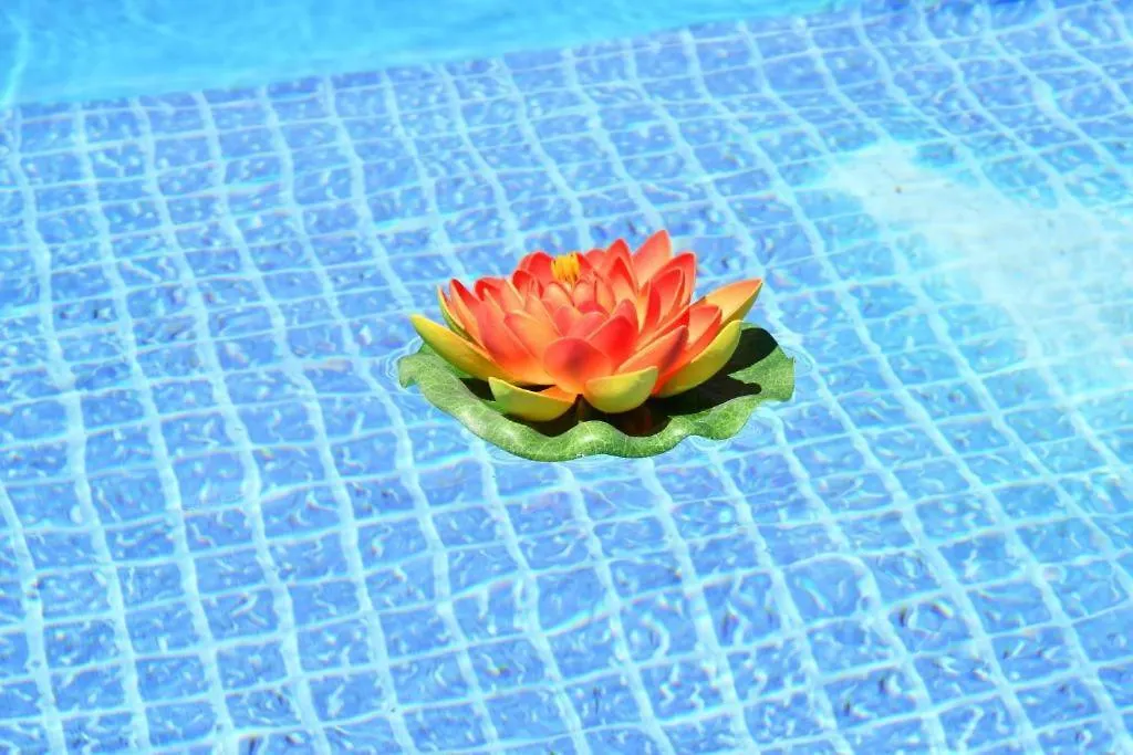 카메라데로보스 Guestready - Sonho Dos Avos II 아파트